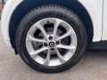 smart forTwo 1.0 Youngster 71cv twinamic Bianco - thumbnail 13