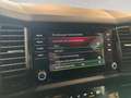 Skoda Kodiaq 2.0TDI V RS Bi-Turbo 4x4 ab ca. 296€ monatlich Grau - thumbnail 44
