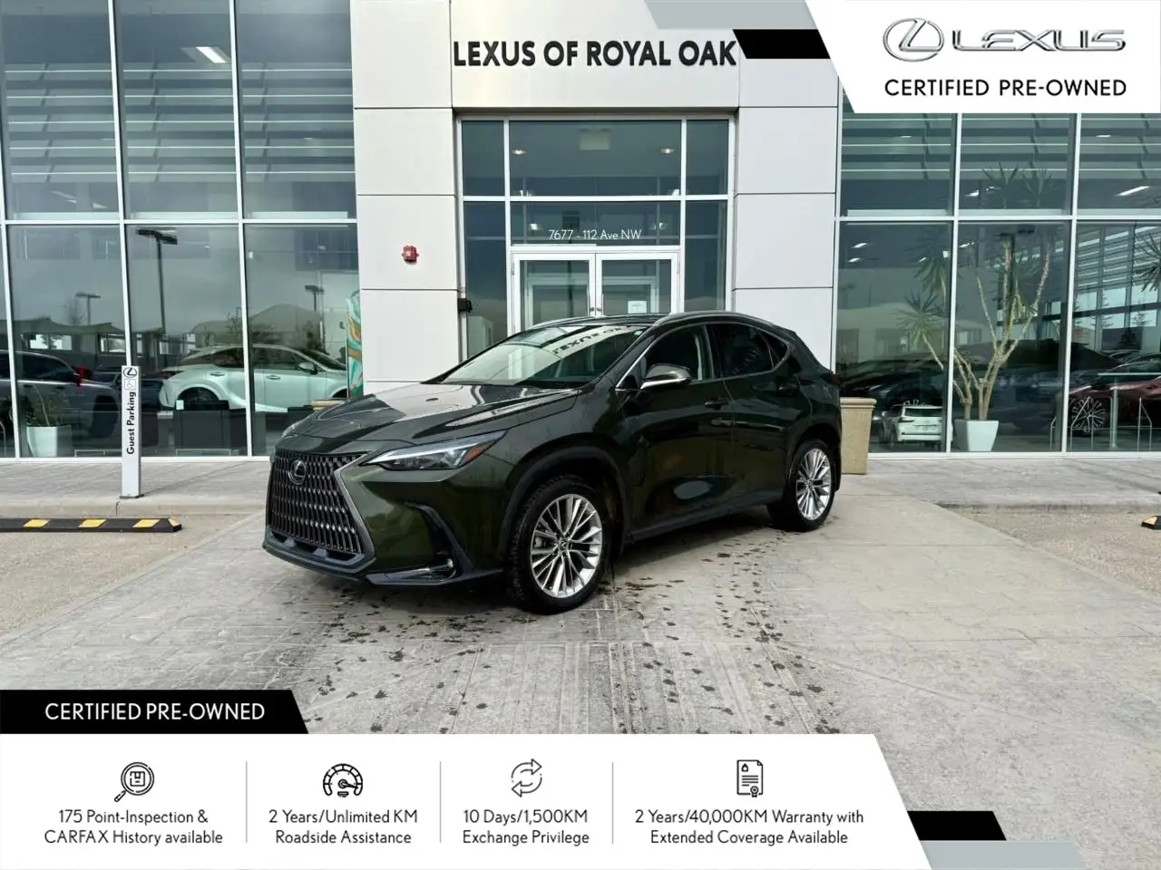 2025 Lexus NX снимка 2025 Lexus NX