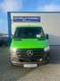 Mercedes-Benz Sprinter SPRINTER 317 LANG 9G-TRONIC TOTWINKEL 360°KAMERA Grün - thumbnail 3
