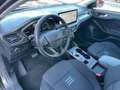 Ford Focus Focus Active SW 1.5 ecoblue 115cv auto Gris - thumbnail 20