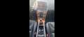 Volvo XC60 Basis AWD Grau - thumbnail 10