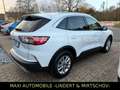 Ford Kuga 1.5Titanium-1.HAND-NAVI-LED-AHK-KAM-FORD KD Weiß - thumbnail 12