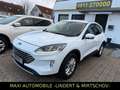 Ford Kuga 1.5Titanium-1.HAND-NAVI-LED-AHK-KAM-FORD KD Weiß - thumbnail 3
