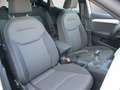 SEAT Ibiza 1.0 TSI S Blanc - thumbnail 15