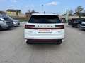 Skoda Kodiaq RS 4x4 TSI DSG Weiß - thumbnail 16