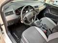 SEAT Ibiza 1.0 TSI S&S Style 115 Blanc - thumbnail 6