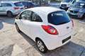 Ford Ka/Ka+ 1.2, 1.HAND, Klima, el.FH, ZV+FB, Allwetter.. Weiß - thumbnail 8