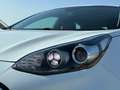 Kia Sportage 2.0CRDi VGT GT Line Plus 4x2 136 Weiß - thumbnail 12