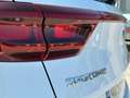Kia Sportage 2.0CRDi VGT GT Line Plus 4x2 136 Weiß - thumbnail 11