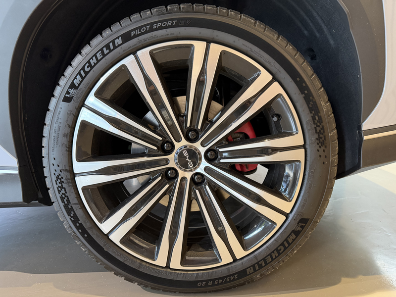 BYD Sealion 7 Excellence AWD 91.3 kWh — photo 6
