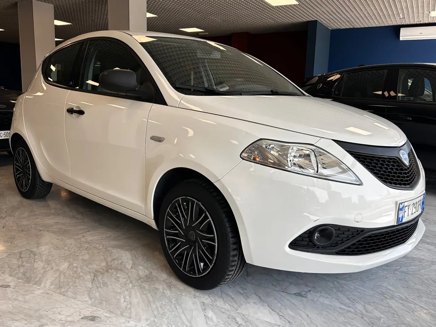 Lancia Ypsilon 1.2 69 CV 5 porte GPL Ecochic Elefantino Blu Bianco - 2