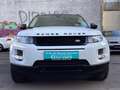 Land Rover Range Rover Evoque Pure Techn Weiß - thumbnail 2
