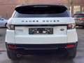 Land Rover Range Rover Evoque Pure Techn Weiß - thumbnail 5