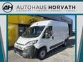 Fiat Ducato Ducato 35+ L2H2 BlueHDi 140 S&S!TOP AKTION! Weiß - thumbnail 1