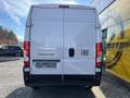 Fiat Ducato Ducato 35+ L2H2 BlueHDi 140 S&S!TOP AKTION! Weiß - thumbnail 4
