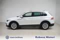 Volkswagen Tiguan 2.0 TDI SCR Life 122CV Bianco - thumbnail 4