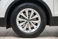 Volkswagen Tiguan 2.0 TDI SCR Life 122CV Bianco - thumbnail 7