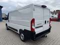 Fiat Ducato KASTENWAGEN 33 L2H1 140MT Weiß - thumbnail 10