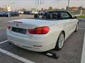 BMW 428 428i Cabrio Luxury PELLE TAGLIANDI BMW Blanc - thumbnail 2
