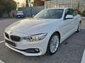 BMW 428 428i Cabrio Luxury PELLE TAGLIANDI BMW Blanc - thumbnail 6