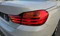 BMW 428 428i Cabrio Luxury PELLE TAGLIANDI BMW Blanc - thumbnail 19