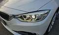 BMW 428 428i Cabrio Luxury PELLE TAGLIANDI BMW Blanc - thumbnail 18