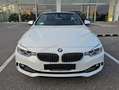 BMW 428 428i Cabrio Luxury PELLE TAGLIANDI BMW Blanc - thumbnail 3