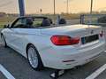 BMW 428 428i Cabrio Luxury PELLE TAGLIANDI BMW Blanc - thumbnail 5