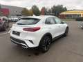 Kia XCeed 1.6T 150 DCT SPI XCL LED-Hauptscheinwerfer Lenkrad Weiß - thumbnail 4