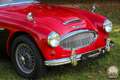 Austin-Healey Sonstige 3000 MK II – restaurierter britischer Klassiker Rot - thumbnail 2