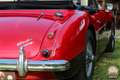 Austin-Healey Sonstige 3000 MK II – restaurierter britischer Klassiker Rot - thumbnail 14