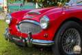 Austin-Healey Sonstige 3000 MK II – restaurierter britischer Klassiker Rot - thumbnail 4