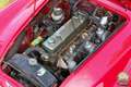 Austin-Healey Sonstige 3000 MK II – restaurierter britischer Klassiker Rot - thumbnail 23