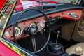 Austin-Healey Sonstige 3000 MK II – restaurierter britischer Klassiker Rot - thumbnail 18