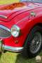 Austin-Healey 3000 3000 MK II – restaurierter britischer Klassiker Червоний - thumbnail 5