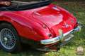 Austin-Healey Sonstige 3000 MK II – restaurierter britischer Klassiker Rot - thumbnail 12