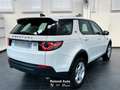 Land Rover Discovery Sport 2.0 ed4 Pure 2wd 150cv Bianco - thumbnail 2