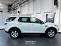 Land Rover Discovery Sport 2.0 ed4 Pure 2wd 150cv Wit - thumbnail 4