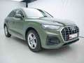 Audi Q5 35 TDI S-TRO*ADVANCED*LED*PANO*RFK* Grün - thumbnail 4