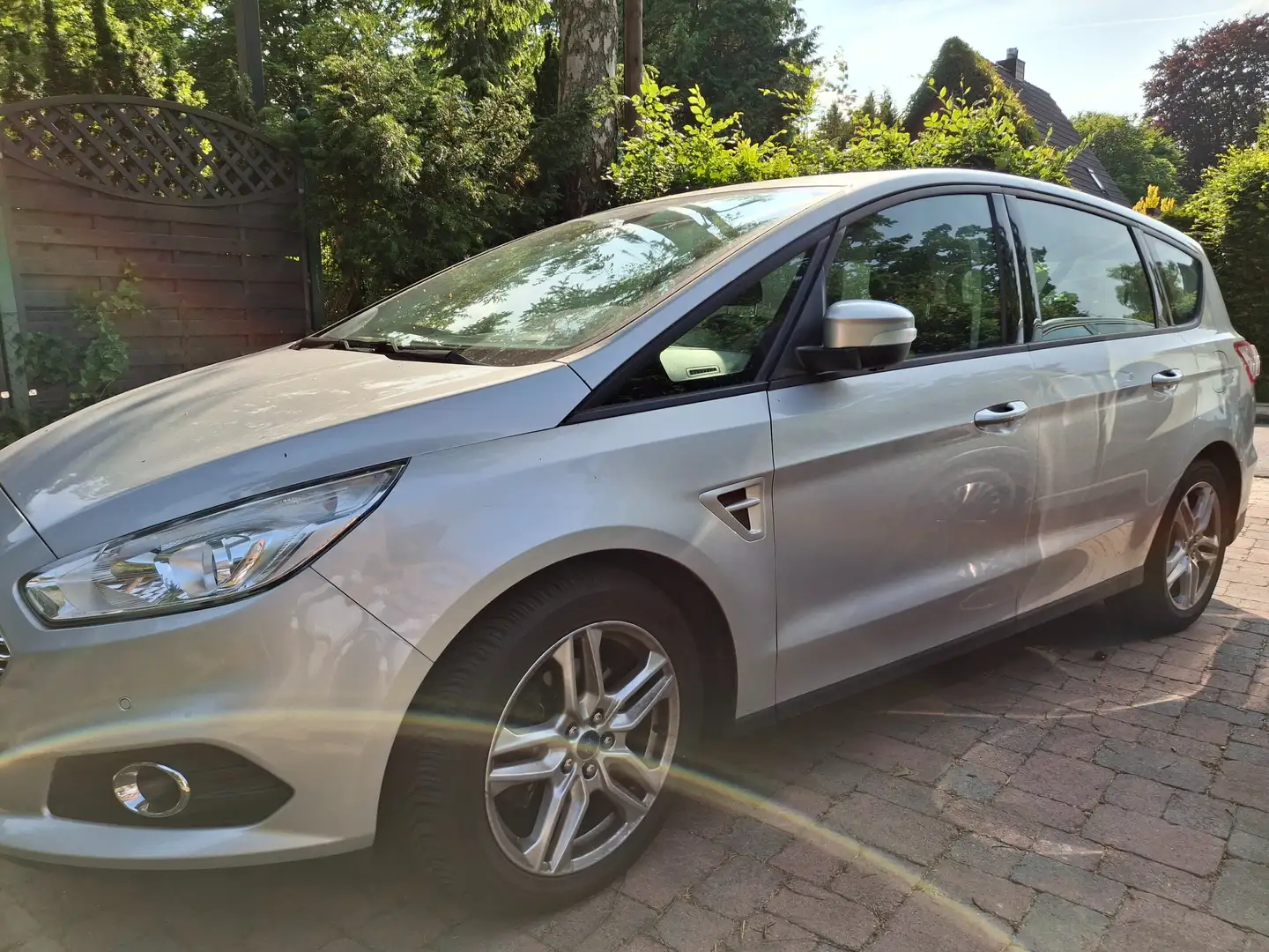 Ford S-Max S-Max 2.0 TDCi Business Silber - 1