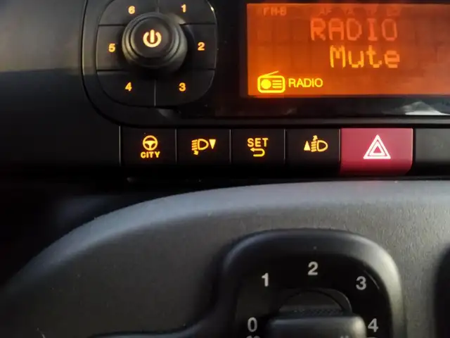 Fiat Panda view 12