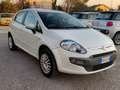 Fiat Punto Evo Punto Evo 5p 1.4 natural power Dynamic 70cv Weiß - thumbnail 3