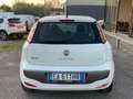 Fiat Punto Evo Punto Evo 5p 1.4 natural power Dynamic 70cv Weiß - thumbnail 5