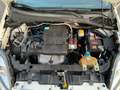 Fiat Punto Evo Punto Evo 5p 1.4 natural power Dynamic 70cv Weiß - thumbnail 17
