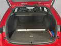 Skoda Octavia Combi RS 2.0 TDI DSG Pano Rot - thumbnail 5
