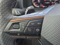 CUPRA Formentor 1.5 TSI DSG AHK BLIS Cam SHZ BEATS FullLink Grau - thumbnail 21
