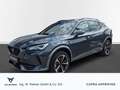 CUPRA Formentor 1.5 TSI DSG AHK BLIS Cam SHZ BEATS FullLink Grau - thumbnail 1