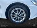Mercedes-Benz B 200 d PROGRESSIVE+PANO+AHK Weiß - thumbnail 6