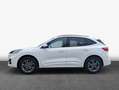Ford Kuga 2.5 Duratec PHEV ST-LINE X AHZV ACC LED Weiß - thumbnail 4